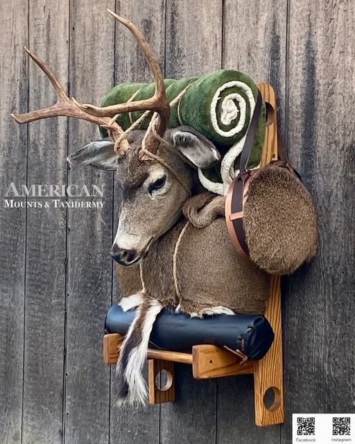 Deer mount with bedroll, canteen and pack on a wooden rack